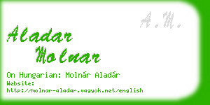 aladar molnar business card
