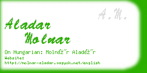 aladar molnar business card